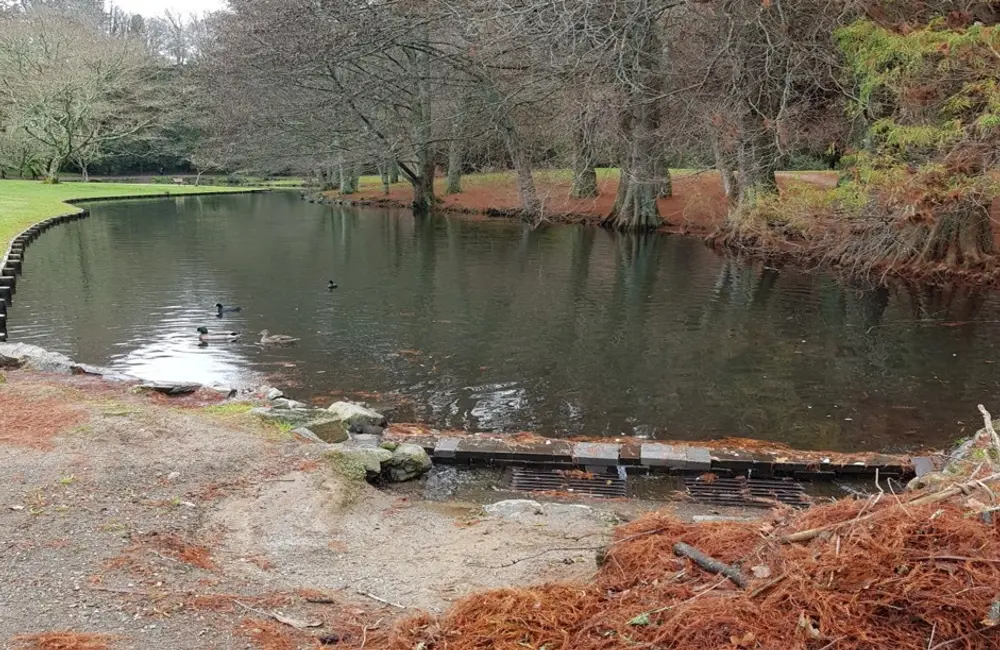 Lake Te Koo Utu Stormwater Quality Improvements
