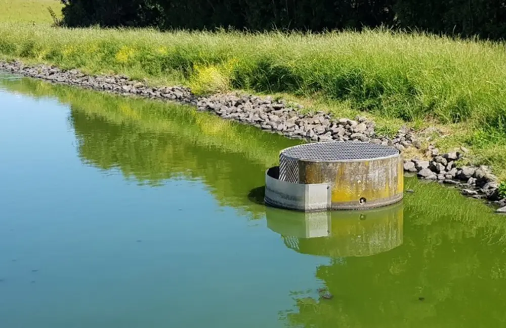 Waihou Wastewater Treatment Plant Decommissioning